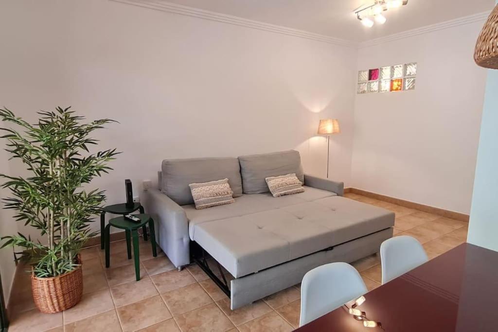 Jardin Del Teide Apartment Puerto de la Cruz  Luaran gambar